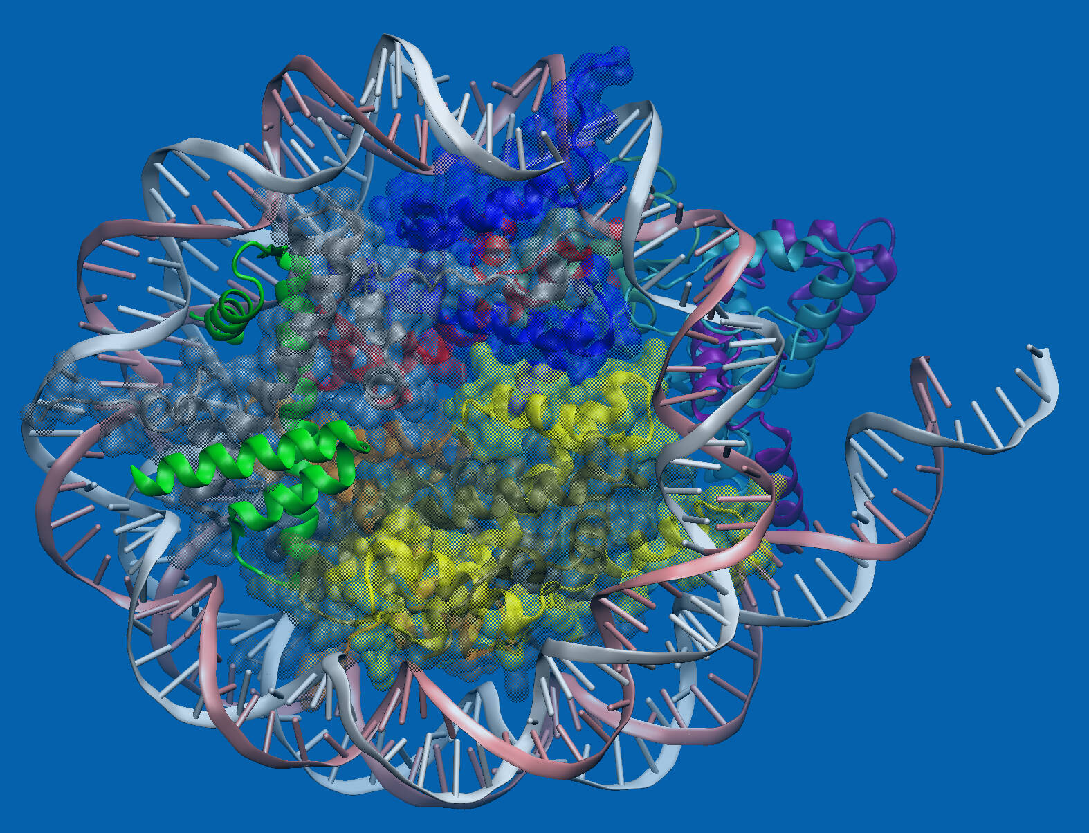 protein design image using PDB.